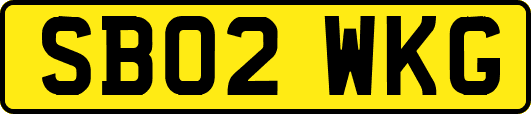 SB02WKG