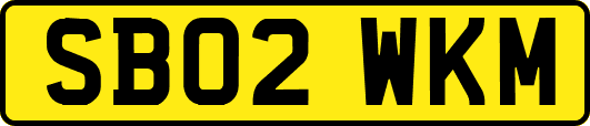 SB02WKM