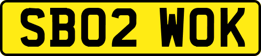 SB02WOK