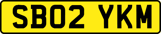 SB02YKM