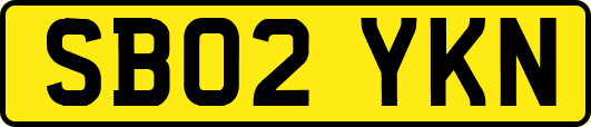SB02YKN