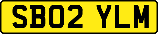 SB02YLM