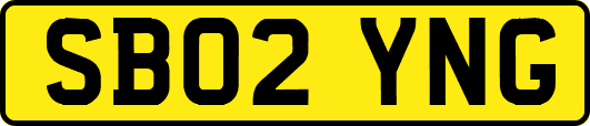 SB02YNG