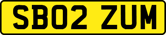 SB02ZUM