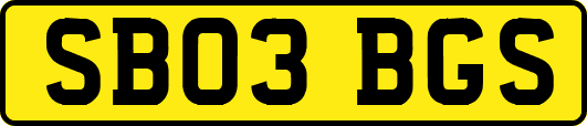 SB03BGS