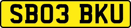 SB03BKU