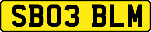 SB03BLM
