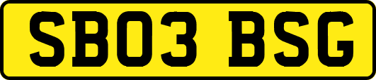SB03BSG
