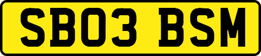 SB03BSM