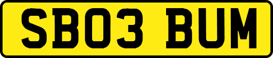 SB03BUM
