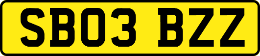 SB03BZZ