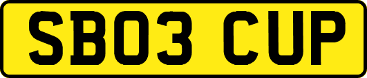 SB03CUP
