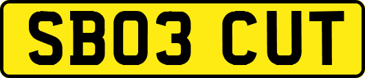 SB03CUT