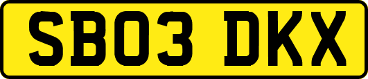 SB03DKX