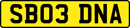 SB03DNA