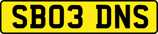 SB03DNS