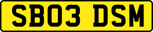 SB03DSM