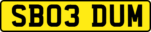 SB03DUM