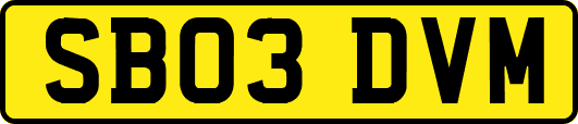 SB03DVM