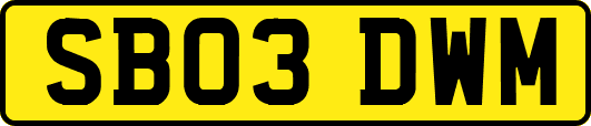 SB03DWM