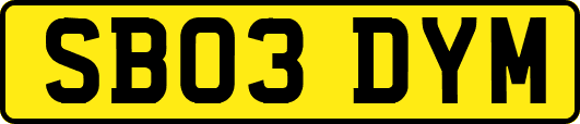 SB03DYM