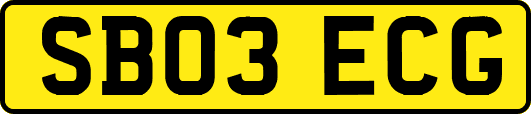 SB03ECG