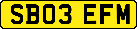 SB03EFM