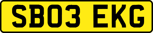 SB03EKG