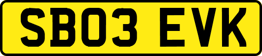 SB03EVK