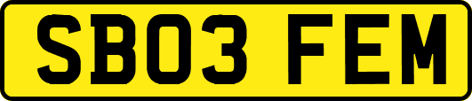 SB03FEM
