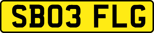 SB03FLG