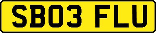 SB03FLU