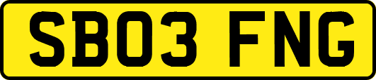 SB03FNG