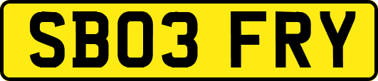 SB03FRY