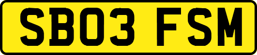 SB03FSM