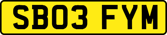 SB03FYM