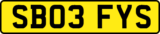 SB03FYS