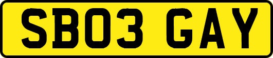 SB03GAY