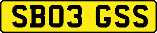 SB03GSS