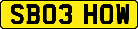 SB03HOW