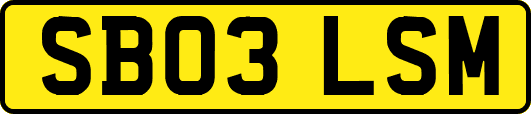 SB03LSM