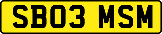 SB03MSM