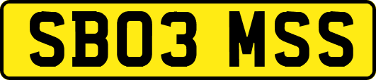 SB03MSS