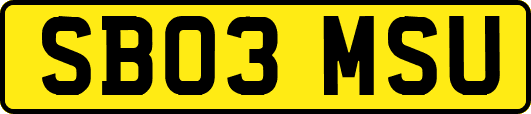 SB03MSU
