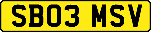 SB03MSV