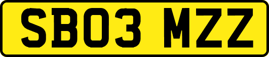 SB03MZZ
