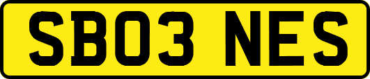 SB03NES