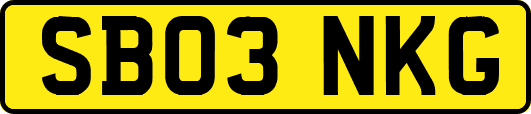 SB03NKG