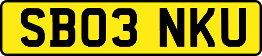 SB03NKU