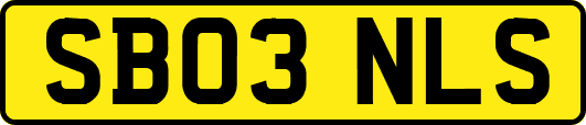 SB03NLS
